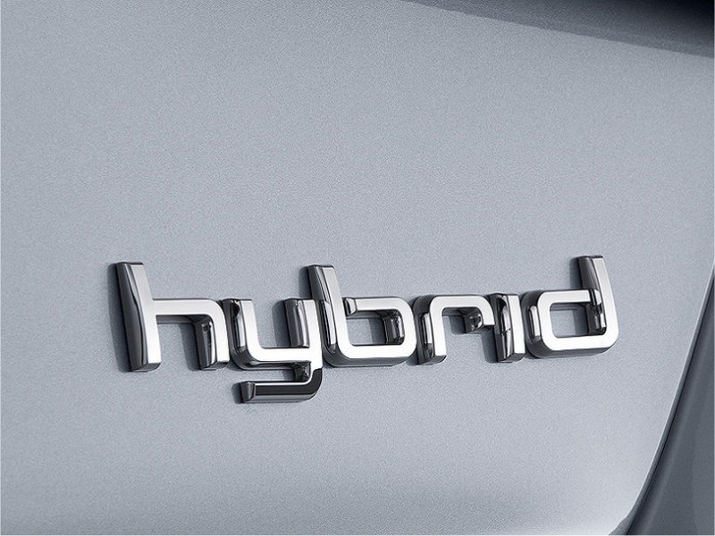 Hybrid Fahrzeug  Service